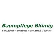 Baumdienst Blümig - Baumpflege & Baumfällung Eisfeld - Logo