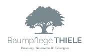 Baumpfelge Thiele - 8