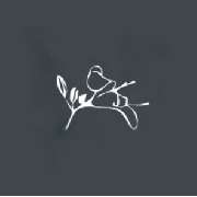 Bestattungen “Lilie” GmbH - LOGO