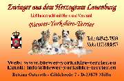 Logo - Biewer aus dem Herzogtum Lauenburg