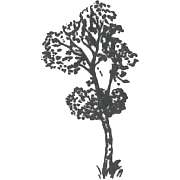 Birken-Apotheke - Logo der Birken-Apotheke
