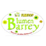 Blumen Barrey - LOGO