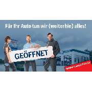 Bosch Car Service Haas & Söhne Automobilie GmbH - LOGO