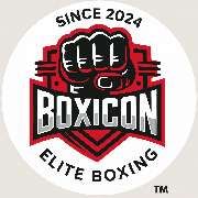 BoxIcon - LOGO