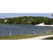 Brasil Wellness-World - LOGO