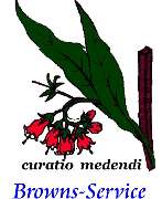 Logo - Browns-Service