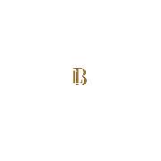 Business-Limousines24 - LOGO