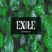 Cafe & Coktail Bar Exile - LOGO