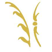 Can-Levin Lalikos Convertiq - LOGO