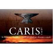 Caris GmbH - LOGO