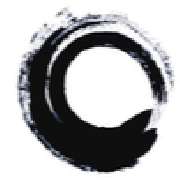 Carsten Kraus Physiotherapeut - LOGO