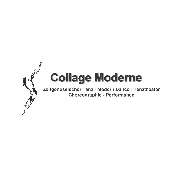 Collage Moderne c/o PHYNIXtanzt - LOGO