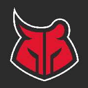 CrossFit Bulls and Bears - CrossFit in Frankfurt - LOGO