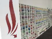 Logo - damfastore Bad Homburg