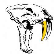 Dentaltechnik Liesen & Titgens GbR - LOGO