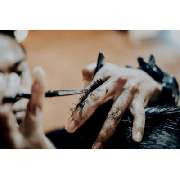 Diana Fuchs Friseursalon - LOGO