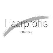 Die Haarprofis Ottersberg - LOGO