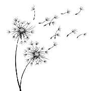 Die Waldfrauen - LOGO