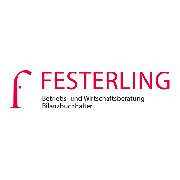 Dirk Festerling Betriebs- und Wirtschaftsberatung - LOGO