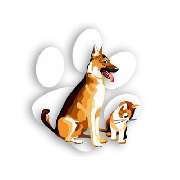 Dr.med.vet. Andre Synilo Tierärztliche Praxis - LOGO