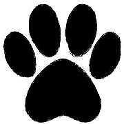 Dr. med. vet. Marion Weber-Frisch Tierärztin - LOGO