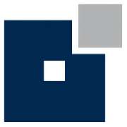 Dr. Schannath Executive Search - LOGO