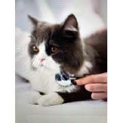 Dr. Von Welser Christoph Tierarzt - LOGO