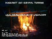 Logo - Draussen Aktiv Sein
