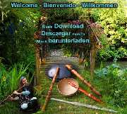 Logo - Dreammusik Download Shop