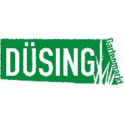 Düsing - LOGO