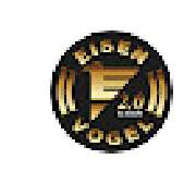 Eisenvogel 2.0 Schacht & Possinger GbR - LOGO