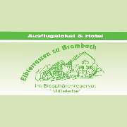 Elbterrassen zu Brambach - 2