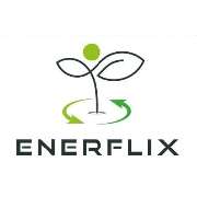 Enerflix Energie- und Unternehmensberatung Alexander Herding - LOGO