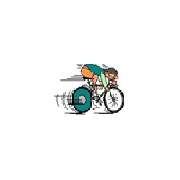 Fahrrad Riedl - LOGO