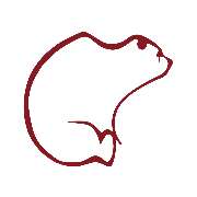 Fahrschule am Bärenbrunnen - LOGO