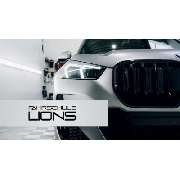 Fahrschule Lions - LOGO