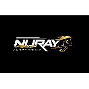 Fahrschule Nuray - LOGO
