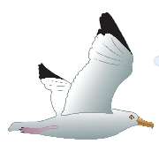 Ferienhaus Dumont - LOGO