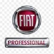 Fiat Professional Autohaus Mayr GmbH - LOGO
