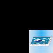 Logo - Fischer-Verein Oettingen 1949 e.V.