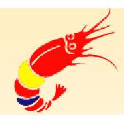 Fischmarkt Husum am Kutterhafen GmbH - LOGO