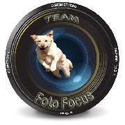 Logo - Foto Focus