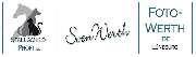 Logo - Foto-Werth