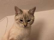 FRANKE Immobilien - 1