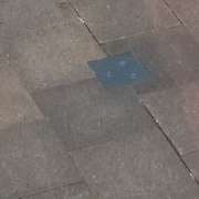 Logo - Franken-Clean