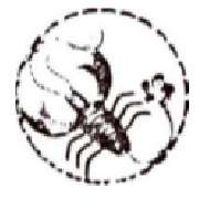 Gebrüder Loppnow Metallbau GmbH & Co. KG - LOGO