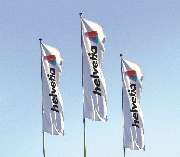 Logo - Geschäftsstelle Helvetia Versicherungen