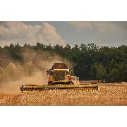 Getreidelager am Collm & Landwirtschaftliche Dienstleistungen GmbH & Co.KG - LOGO