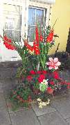 Haus Brigitte - 1
