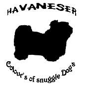 Havaneser Colour’s of Snuggle Dogˋs - LOGO